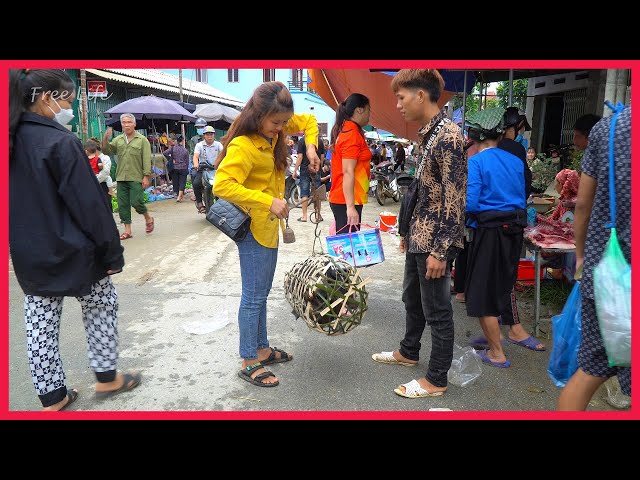 Go to the market to sell ducks, buy gifts for mother. Building farm, free Life (ep89)