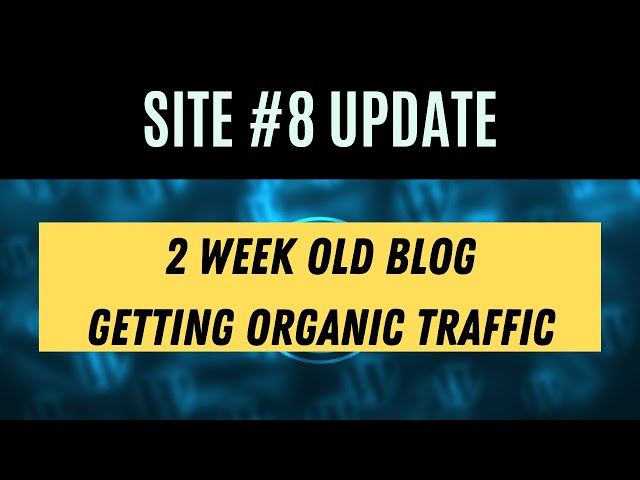 My Portfolio Site 8 Update - Organic Traffic at 2 Weeks