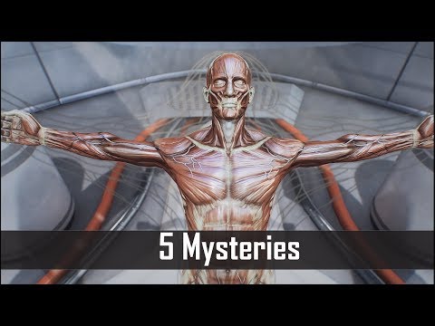 Fallout 4 Mysteries & Theories