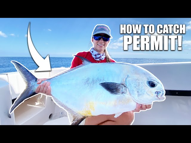 HOW TO CATCH PERMIT SPAWNING on the Wrecks - The Ultimate Game Fish