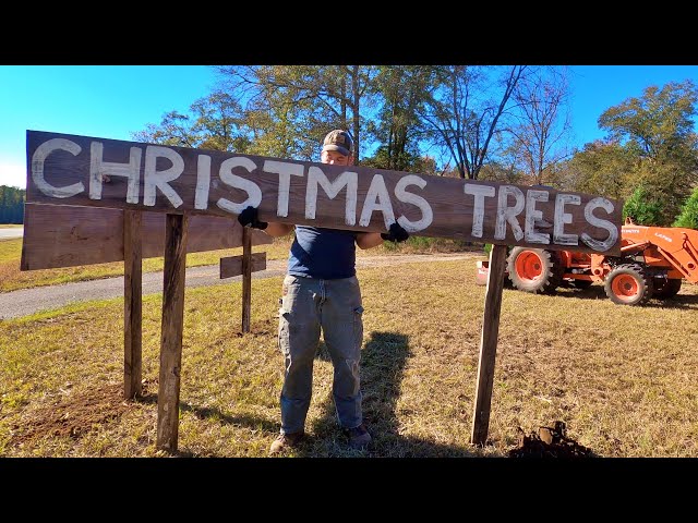 How We Do It: Homestead Christmas Tree Farming