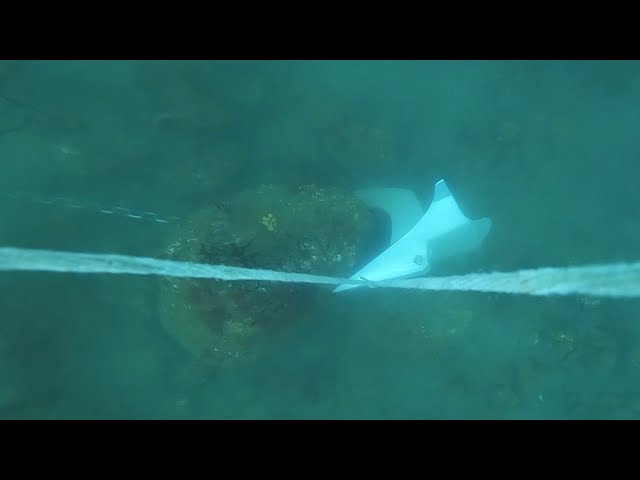 Rock/Boulder Seabed.  Anchor Test Video #145