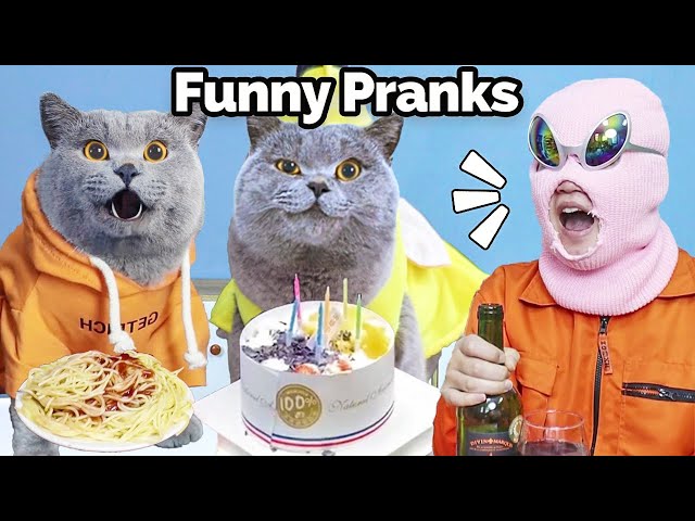 Best Prank Videos To Relieve Your Stress!😊🍃 | Oscar‘s Funny World | New Funny Videos 2024