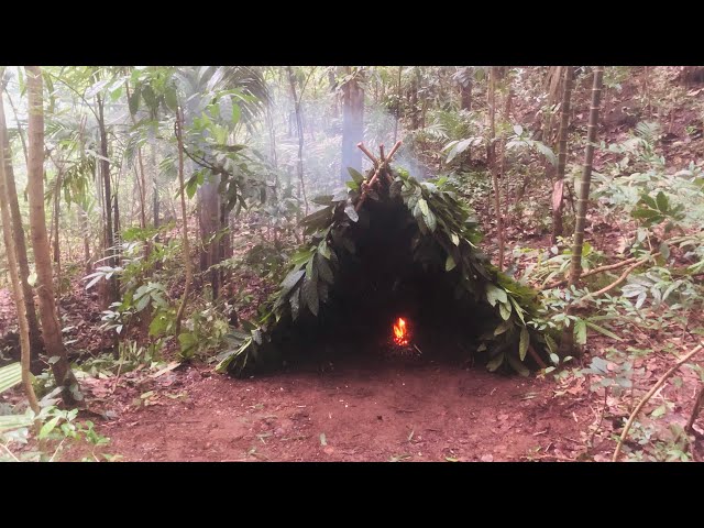 Building a Survival Shelter in a forest| primitive technology shelter