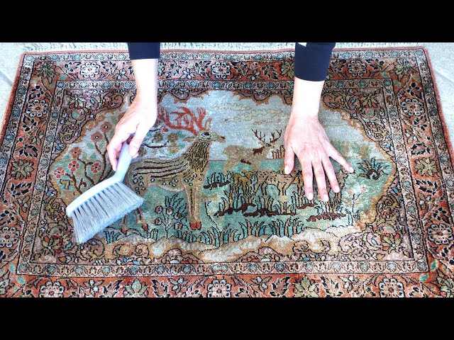 Nobody Knows This Trick to Clean Carpets in 15 Minutes!