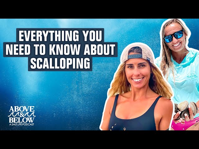 Above & Below A Salt Life Podcast Ft. Amber Lewis On Scalloping