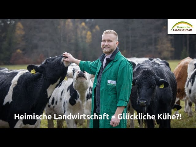 Heimische Landwirtschaft = Glückliche Kühe?! | #heimischelandwirtschaft