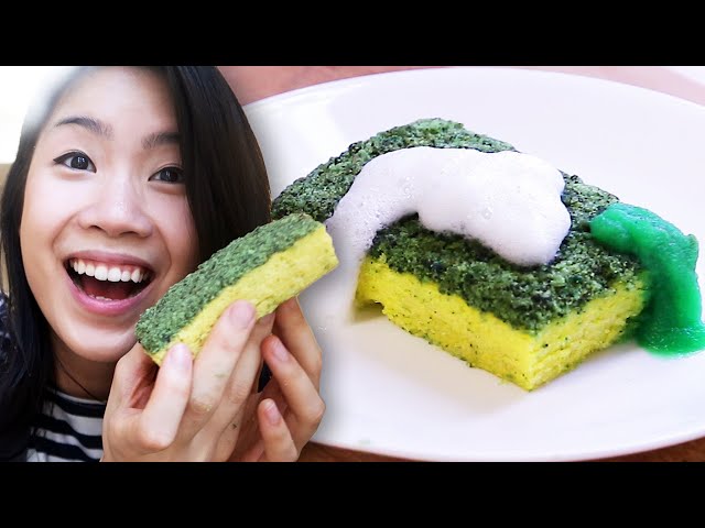 I Made An Edible Dish Sponge Cake