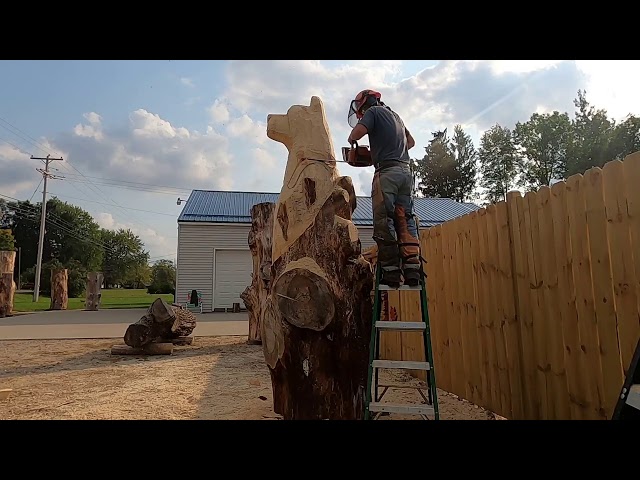 Chainsaw Carving A Large Stump Bear!