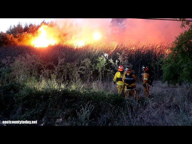 Firefighters Battle 3-Acre Vegetation Fire on Bethel Island