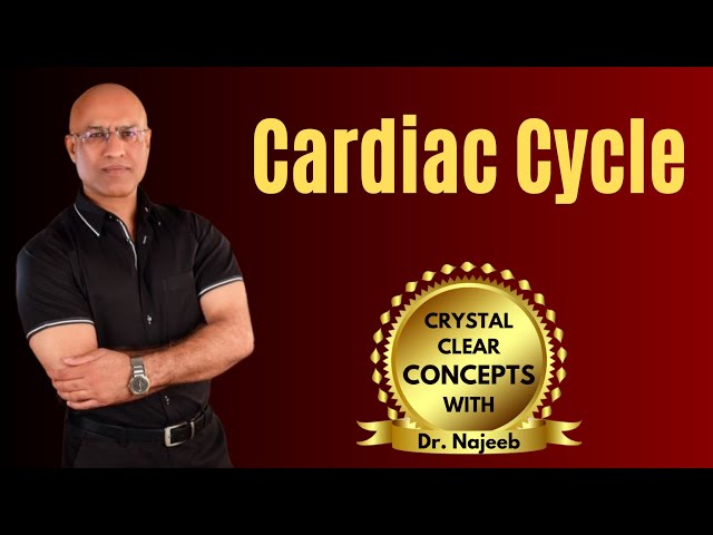Cardiac Cycle | Cardiology | Systole & Diastole | Cardiovascular🫀