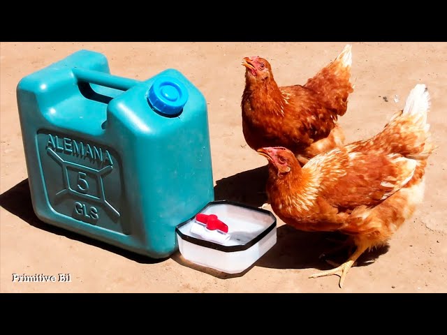 Como hacer un bebedero para gallinas ponedoras con material reciclado