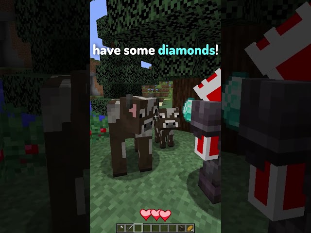 POV: You Meet the Richest Player in Minecraft