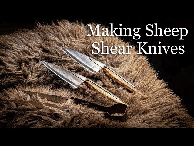 Making Sheep Shear Knives: CHEAP & EASY!
