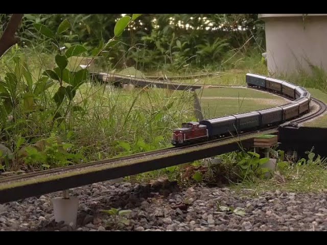 鉄道模型Nゲージ、屋外撮影、遠くから走りくる列車
