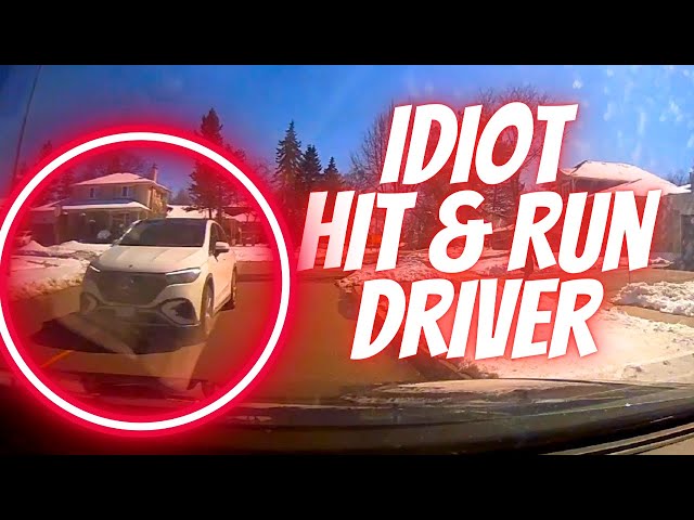 IDIOT HIT & RUN DRIVER