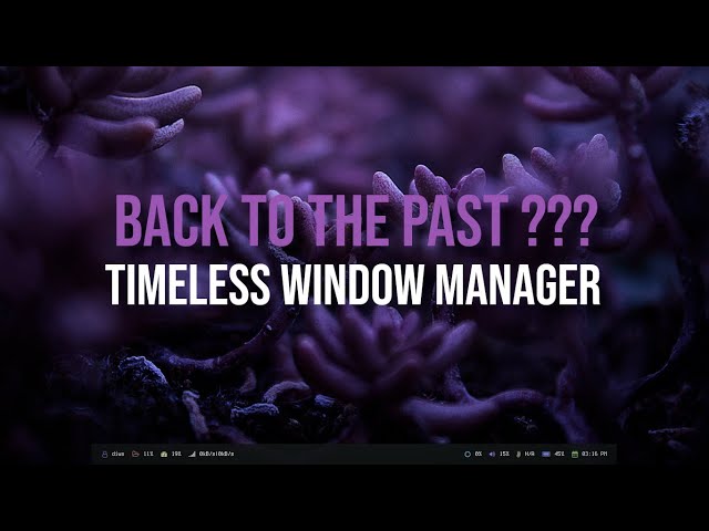 TWM Window Manager | Showcase 2024