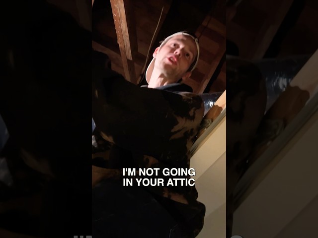 i’m not in the attic dude relax