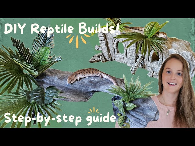 Simple DIY Reptile Hides & Basking Platforms: Step-by-step guide!