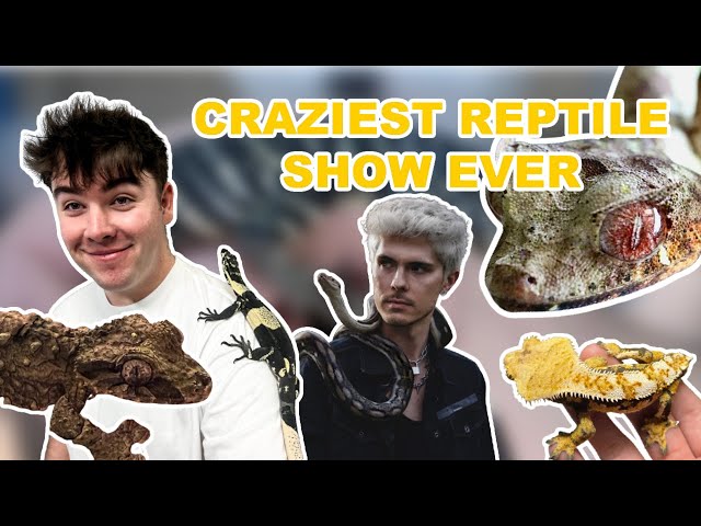 The Most *INSANE* Reptile Show Ever! (NARBC Tinley Park - March 2022)