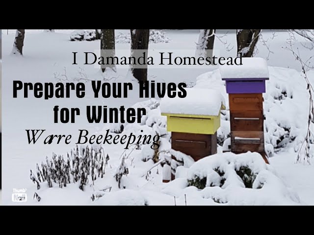 Get your Warre Hive Ready for Winter, Protect your Bees from Mice and Shrews!