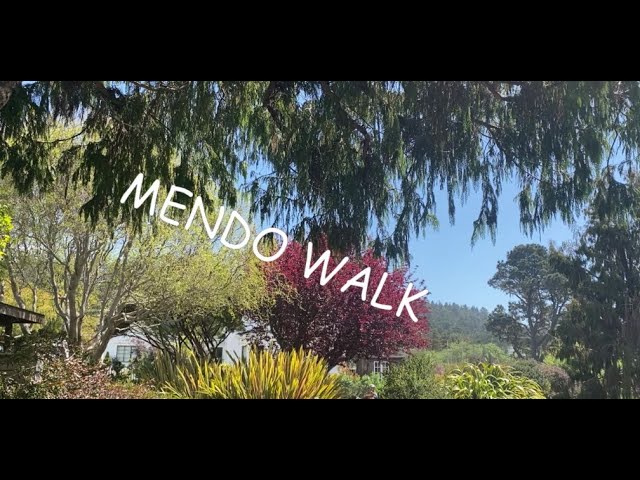 MENDO WALK