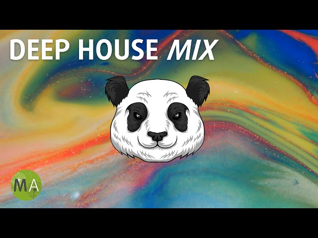 Upbeat Study Music Deep House Mix for Peak Focus - Isochronic Tones