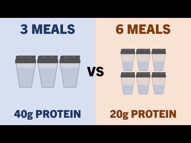 How Much Protein Can be Used in a Single Meal for Muscle Growth?