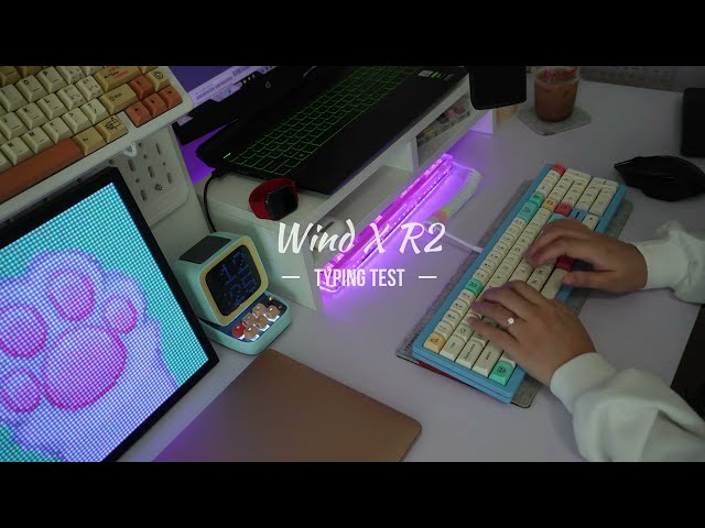 Cozy ASMR | Wind X R2 | no mid-roll ads