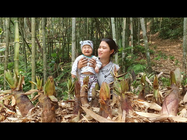 Single girl: Harvest Bamboo shoots - Long term preservation, Implementation process | Trieu Thi Thuy