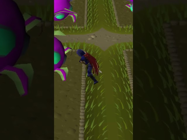 Why Did Jagex Even Add These?