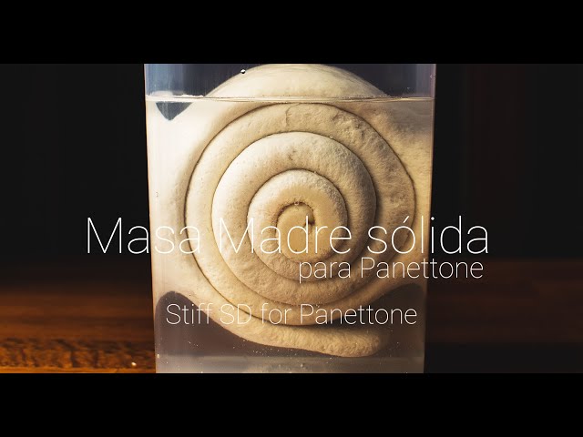 Cómo hacer masa madre sólida para Panettone - How to make stiff SD for Panettone