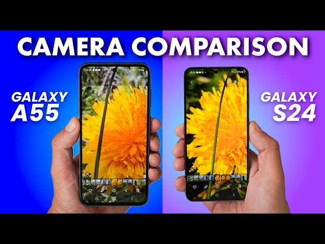 Samsung Galaxy A55 vs Galaxy S24 - CAMERA COMPARISON