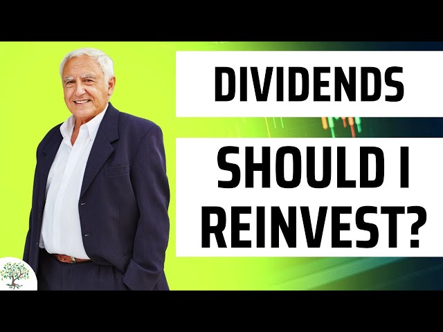 Don’t Reinvest Your Dividends.  Watch This First