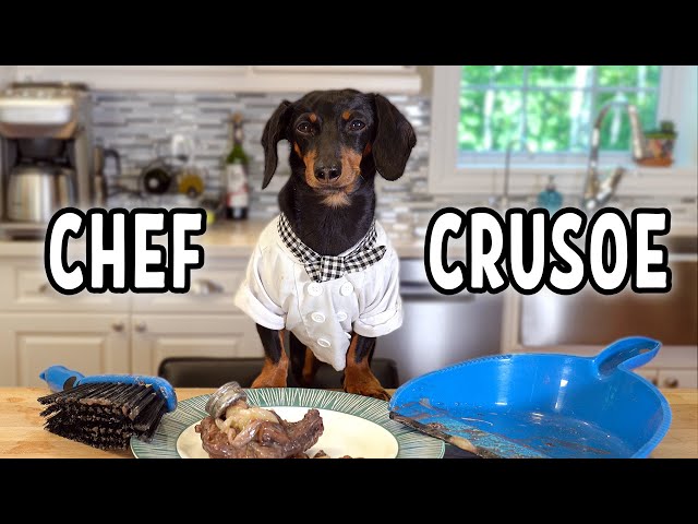 Ep 7: Crusoe the French Chef - Cute & Funny Dachshund Cooking Video