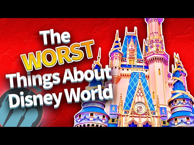 The WORST Things About Disney World