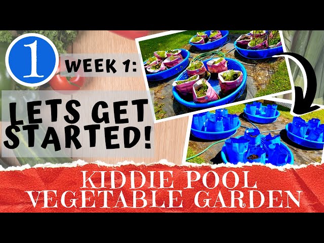 KIDDIE POOL VEGETABLE GARDEN - Week 1: Site Setup & Soil Preparation | Container Gardening | DIY