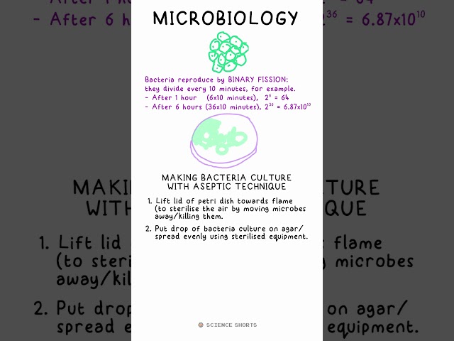 MICROBIOLOGY - Biology Science Revision (GCSE Triple)