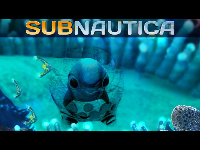 Subnautica 2.0 022 | Kleiner Süßer Fisch | Gameplay