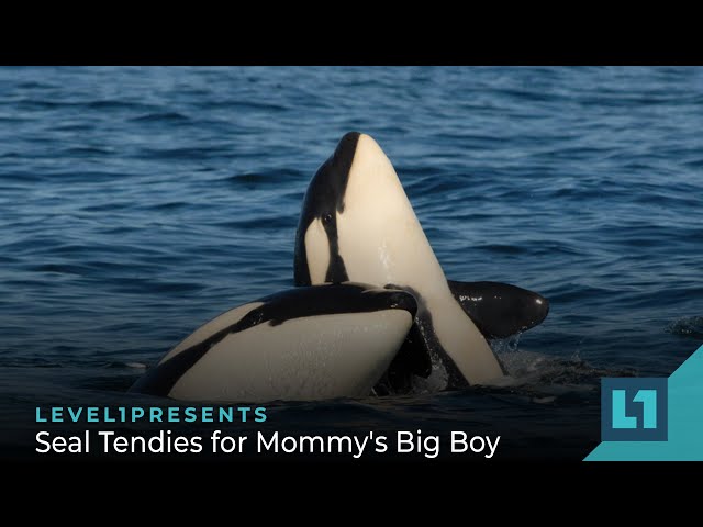 The Level1 Show February 17 2023: Seal Tendies for Mommy's Big Boy