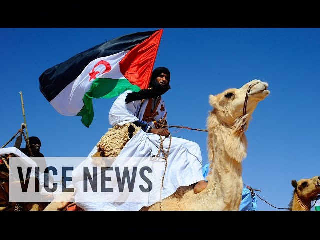 The Sahara's Forgotten War (Full Length)