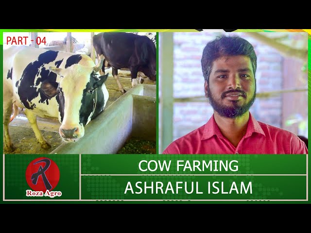 Cow Farming By Ashraful Islam - Part 04 | Cow Farming | Roza Agro Farm