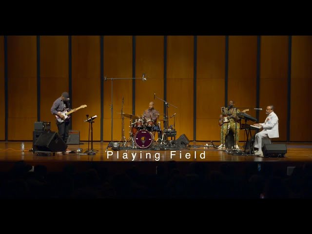 Phil Davis - Playing Field