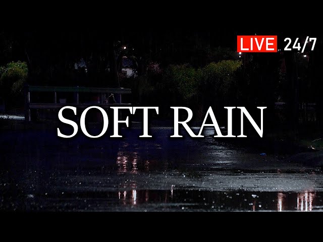 🔴24/7. Soft Rain Sound That's Easy to Hear / Rain Sound ASMR for Overcoming Insomnia & Deep Sleep