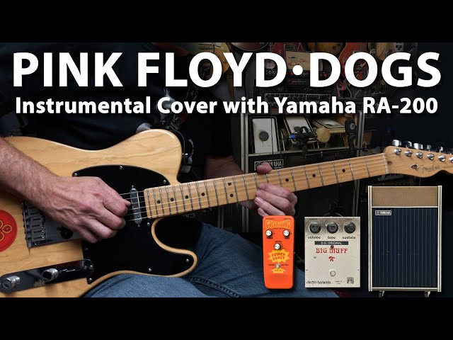 Pink Floyd Dogs Instrumental Cover with RA-200