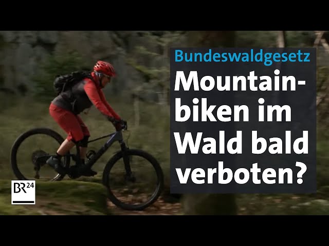 Bundeswaldgesetz: Geleakter Entwurf lässt Mountainbiker bangen | Abendschau | BR24