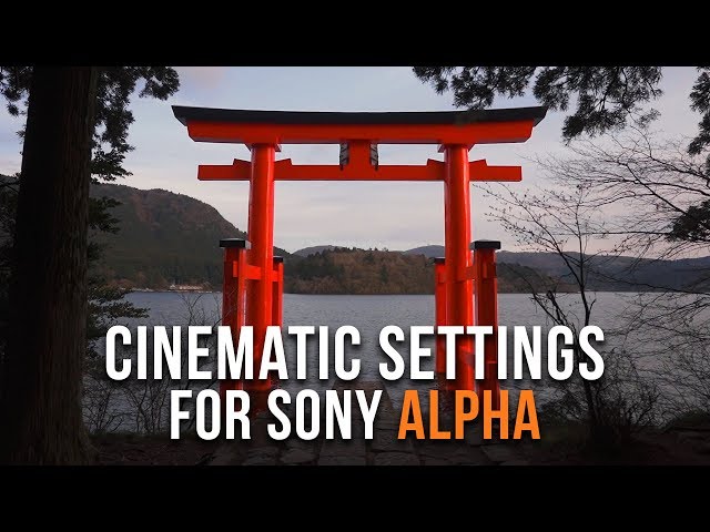 BEST Video Settings for Sony Alpha Cameras! ZV-E1 E10 a7 IV a7III a7R a7S FX & a6000 Series