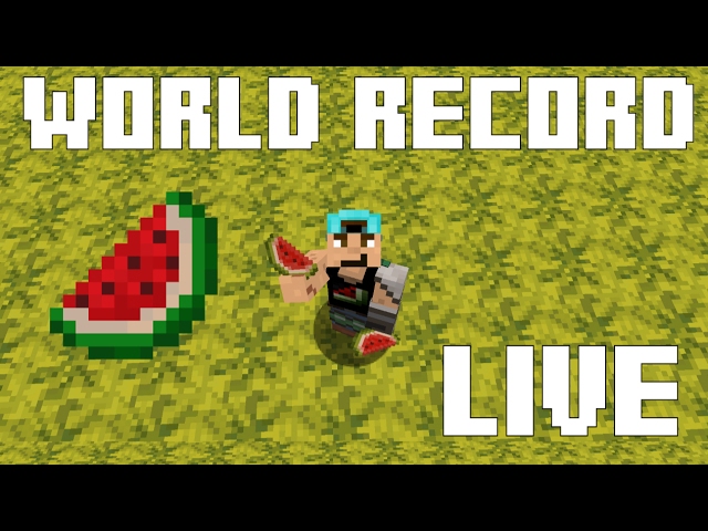 MINECRAFT WORLD RECORD ATTEMPT - MOST MELONS CRAFTED IN 8 HOURS - (Single session)