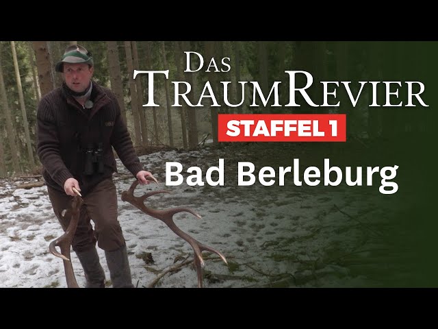 Frühjahr im TraumRevier - Bad Berleburg | JÄGER TraumRevier