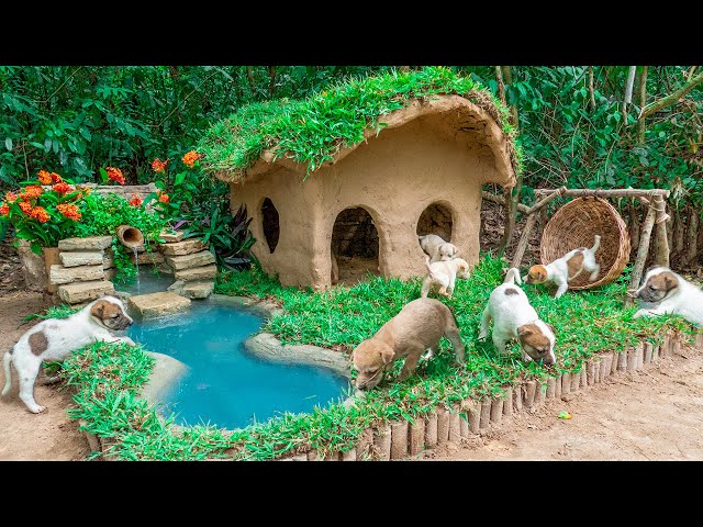 Rescue dog by Collect Abandoned Dog and Build Mud Dog House with Mini Water Fall Swimming Pool